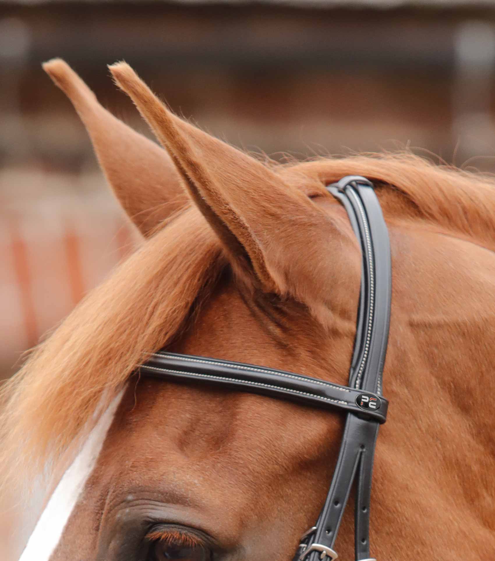 END OF LINE - Mossimo Cavesson Bridle - Image 3